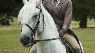 38. Корона (2016)