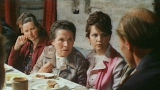 3. Вдовы (1976)