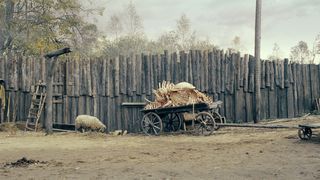 7. В тумане (2012)