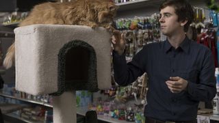 63. Хороший доктор (2017)