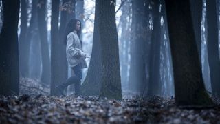 11. Изумрудный город (2016 — 2017)