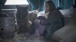 47. Изумрудный город (2016 — 2017)