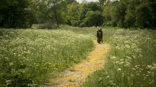 73. Изумрудный город (2016 — 2017)