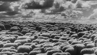 23. Битва за Россию (1943)