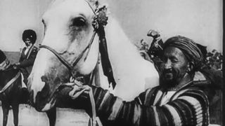 35. Битва за Россию (1943)