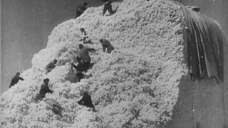 37. Битва за Россию (1943)