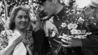 26. Беспокойное хозяйство (1946)