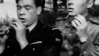 45. Беспокойное хозяйство (1946)