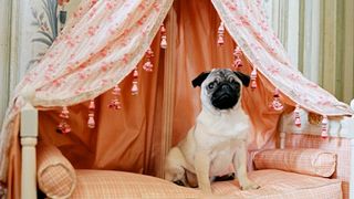 68. Мария-Антуанетта (2005)