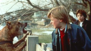11. Добрый сынок (1993)