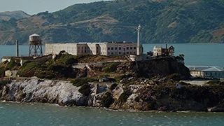 108. Энджи Трайбека (2016)