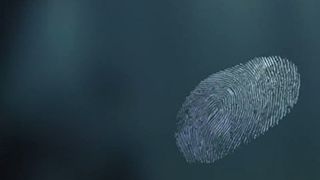 119. Энджи Трайбека (2016)