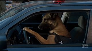 39. Энджи Трайбека (2016)