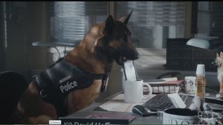 50. Энджи Трайбека (2016)