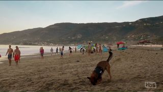 66. Энджи Трайбека (2016)