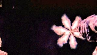 146. Другой мир (2003)