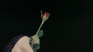64. Рассекая волны (1996)