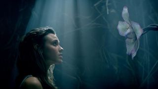 31. Хроники Шаннары (2016 — 2017)