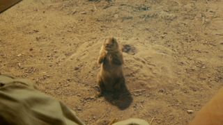 123. Индиана Джонс и Королевство хрустального черепа (2008)