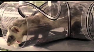 10. Звездный десант (1997)