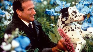 2. Куда приводят мечты (1998)