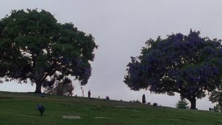 64. Куда приводят мечты (1998)