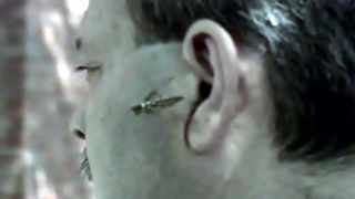 27. Черный рой (2007)