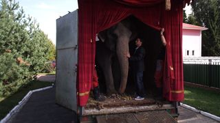 49. 8 первых свиданий (2012)