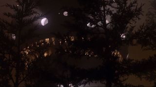 112. Инопланетянин (1982)