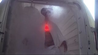 77. Инопланетянин (1982)