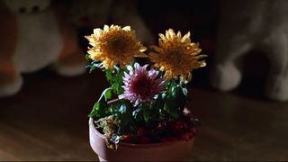 95. Инопланетянин (1982)