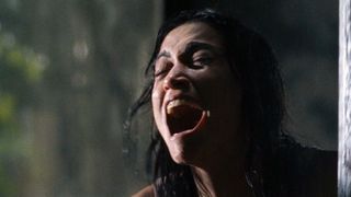 24. Мученицы (2008)