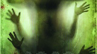 22. Человеческая многоножка (2009)