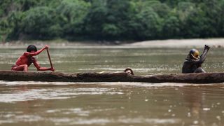 25. Зеленый ад (2013)