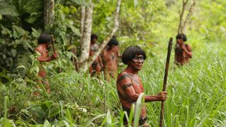 26. Зеленый ад (2013)