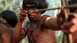 28. Зеленый ад (2013)