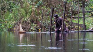 53. Живые и мёртвые (2016)