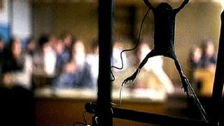 15. Змеиный источник (1997)