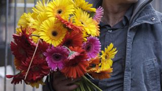 50. Домовой (2008)