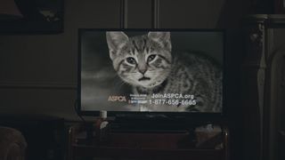 104. Однажды ночью (2016)