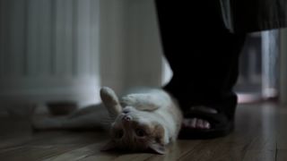 63. Однажды ночью (2016)