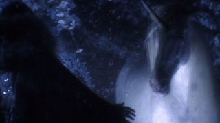 114. Легенда (1985)