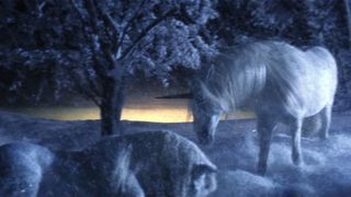 73. Легенда (1985)