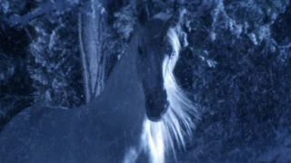 88. Легенда (1985)