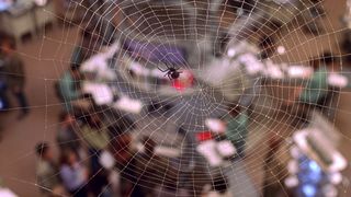 108. Человек-паук (2002)