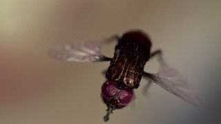 79. Человек-паук (2002)