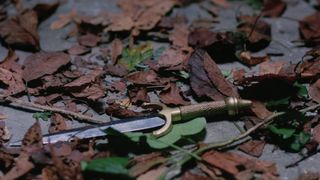 37. Заколдованная Элла (2004)