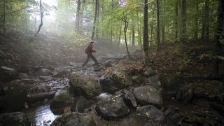 33. Спайдервик: Хроники (2008)