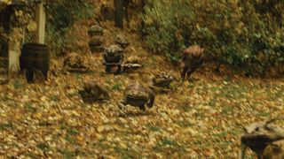 58. Спайдервик: Хроники (2008)