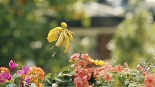 70. Спайдервик: Хроники (2008)